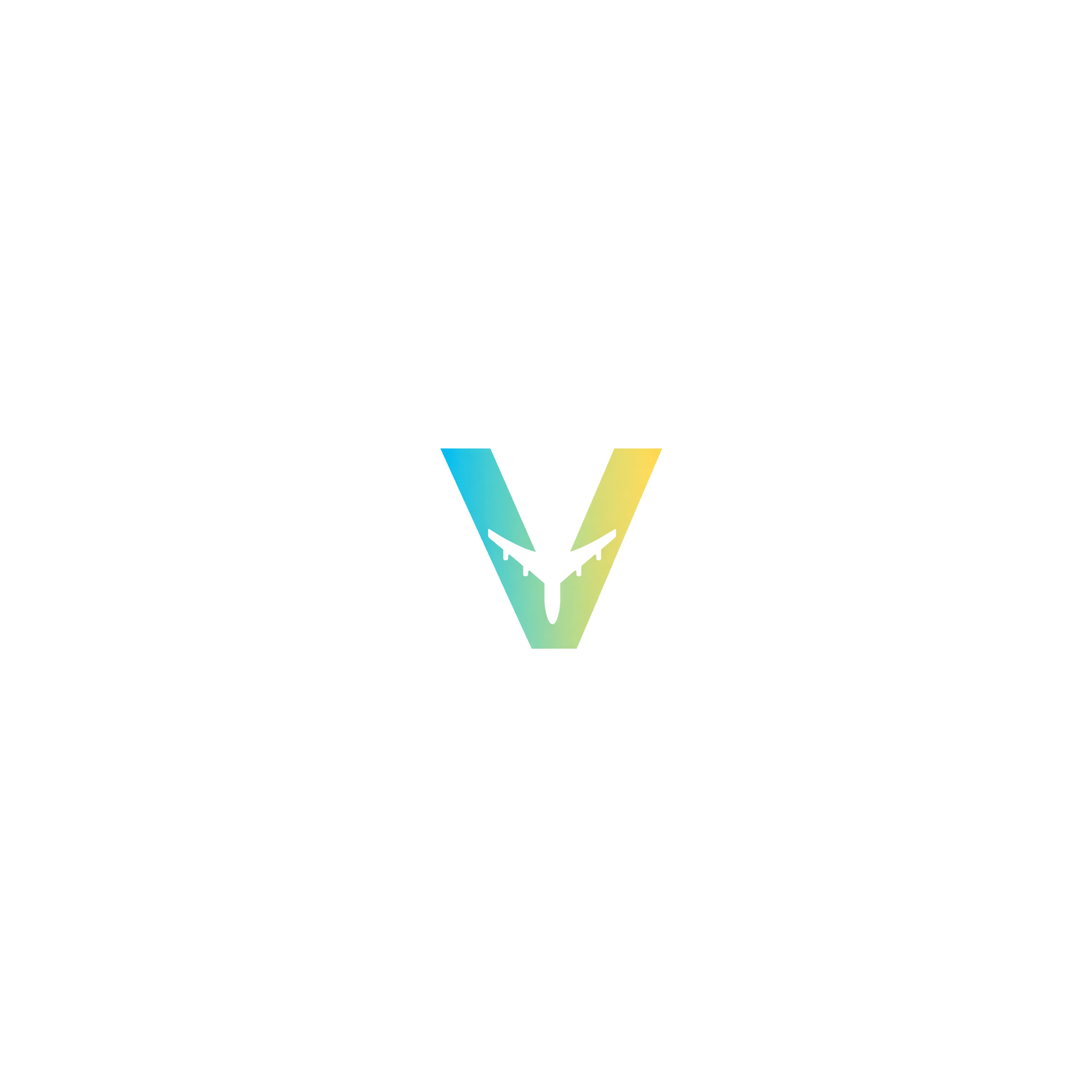 Overshoot Apparel